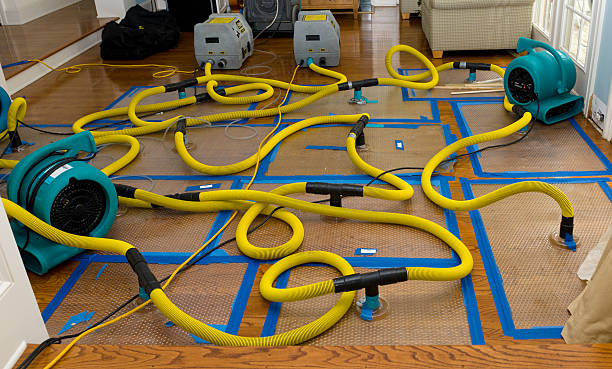 Professional Sewage Cleanup technician working in Bessemer, MI